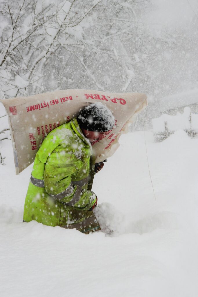 pexels gizem gokce 1072613075 35538688